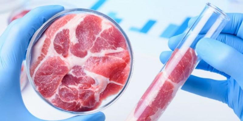 First Lab-Grown Meat Restaurant Opens in Tel Aviv: Miraculous Food From Heaven?