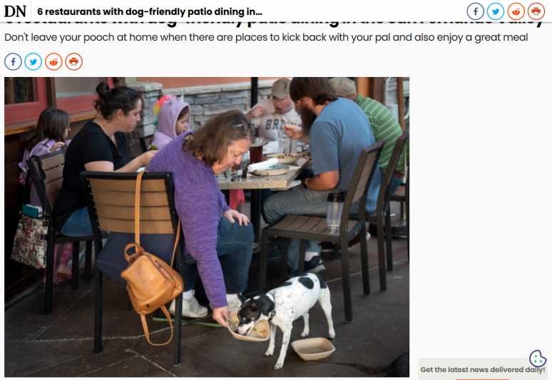 6 restaurants with dog-friendly patio dining in the San Fernando Valley