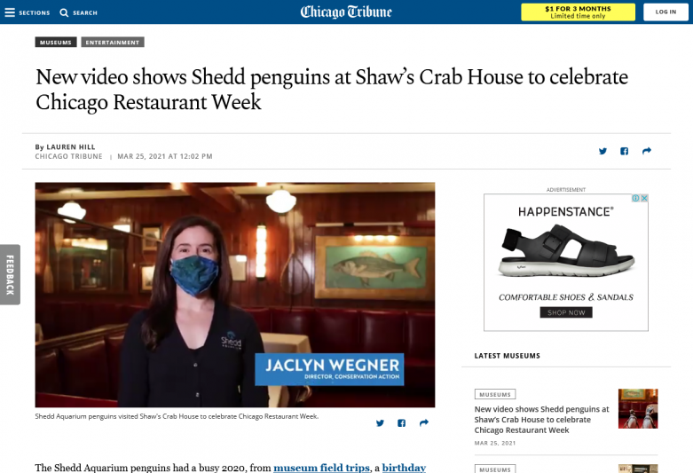 New video shows Shedd penguins at Shawâ€™s Crab House to celebrate Chicago Restaurant Week